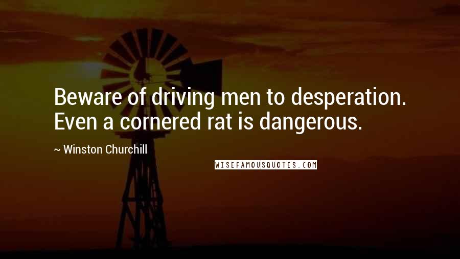 Winston Churchill Quotes: Beware of driving men to desperation. Even a cornered rat is dangerous.