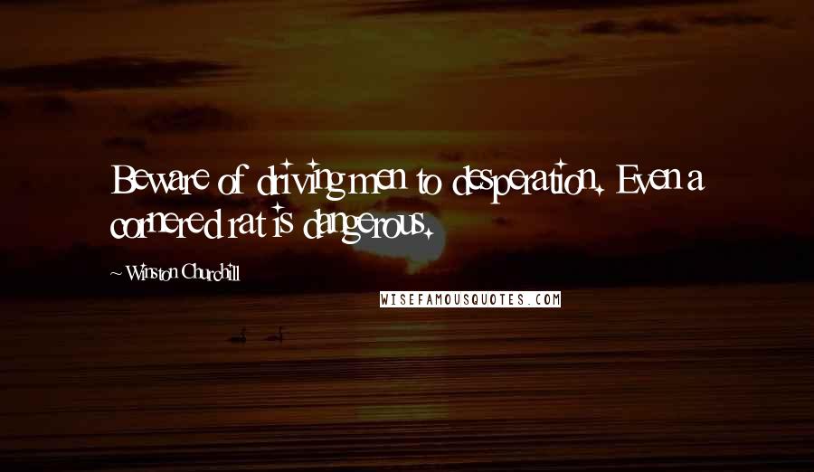 Winston Churchill Quotes: Beware of driving men to desperation. Even a cornered rat is dangerous.
