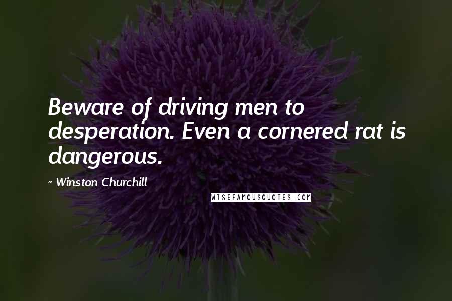 Winston Churchill Quotes: Beware of driving men to desperation. Even a cornered rat is dangerous.
