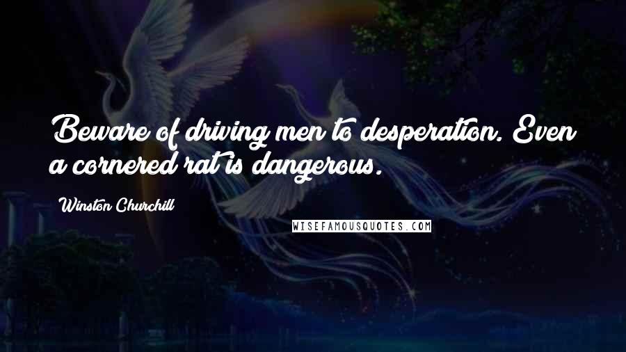 Winston Churchill Quotes: Beware of driving men to desperation. Even a cornered rat is dangerous.