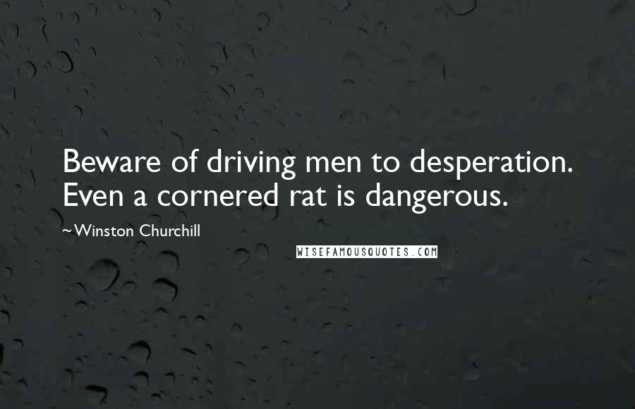 Winston Churchill Quotes: Beware of driving men to desperation. Even a cornered rat is dangerous.