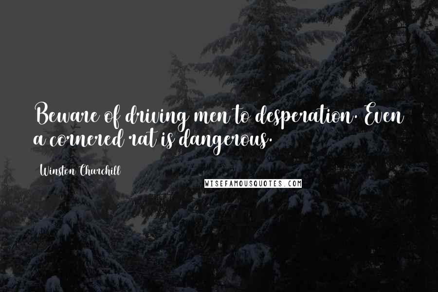 Winston Churchill Quotes: Beware of driving men to desperation. Even a cornered rat is dangerous.