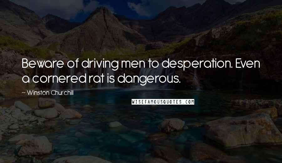Winston Churchill Quotes: Beware of driving men to desperation. Even a cornered rat is dangerous.