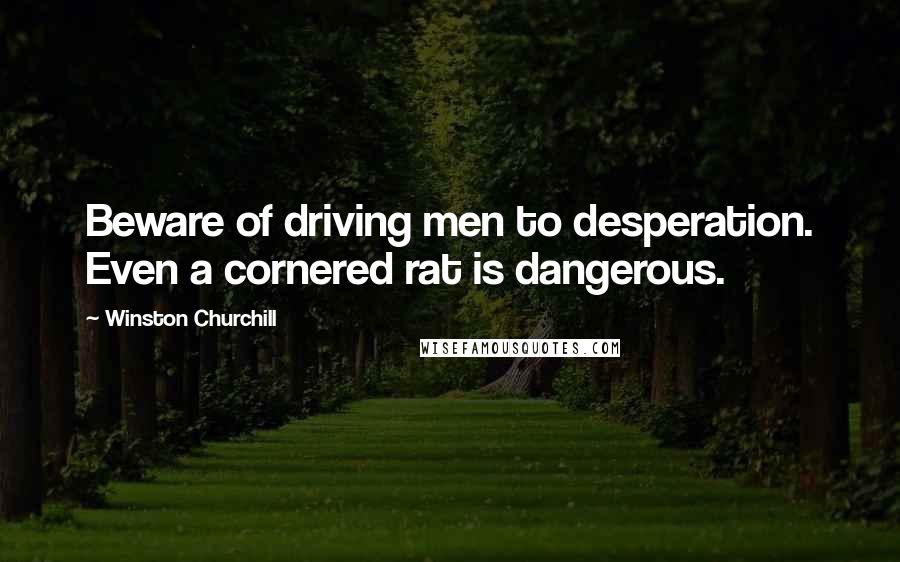 Winston Churchill Quotes: Beware of driving men to desperation. Even a cornered rat is dangerous.