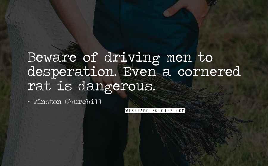 Winston Churchill Quotes: Beware of driving men to desperation. Even a cornered rat is dangerous.