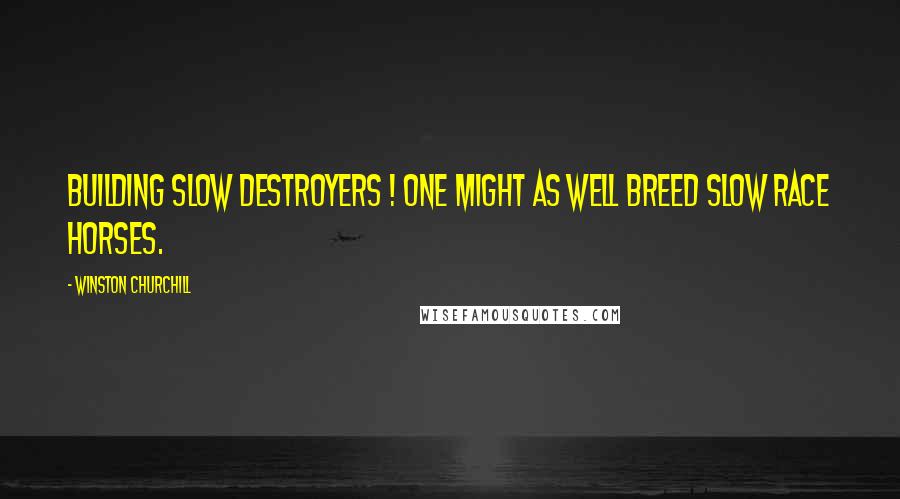 Winston Churchill Quotes: Building slow destroyers ! One might as well breed slow race horses.