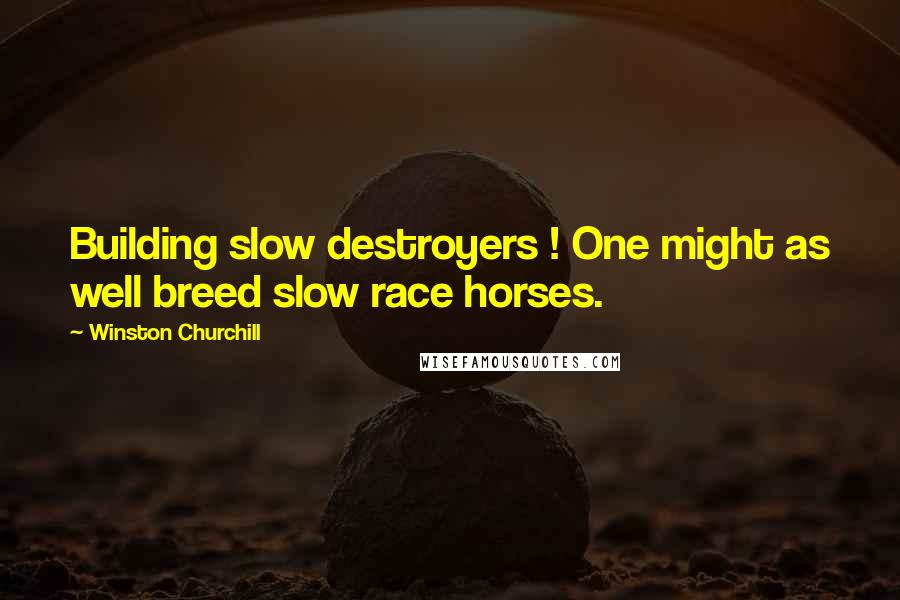 Winston Churchill Quotes: Building slow destroyers ! One might as well breed slow race horses.