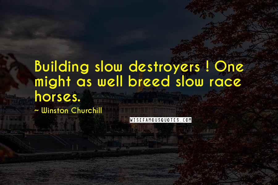 Winston Churchill Quotes: Building slow destroyers ! One might as well breed slow race horses.