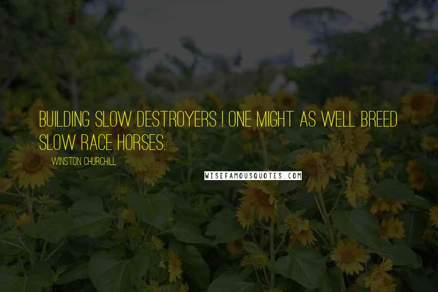 Winston Churchill Quotes: Building slow destroyers ! One might as well breed slow race horses.