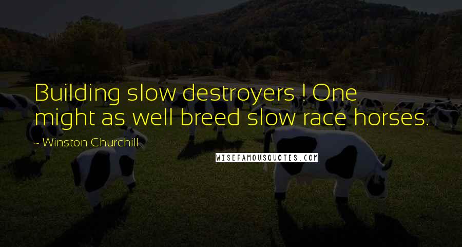 Winston Churchill Quotes: Building slow destroyers ! One might as well breed slow race horses.