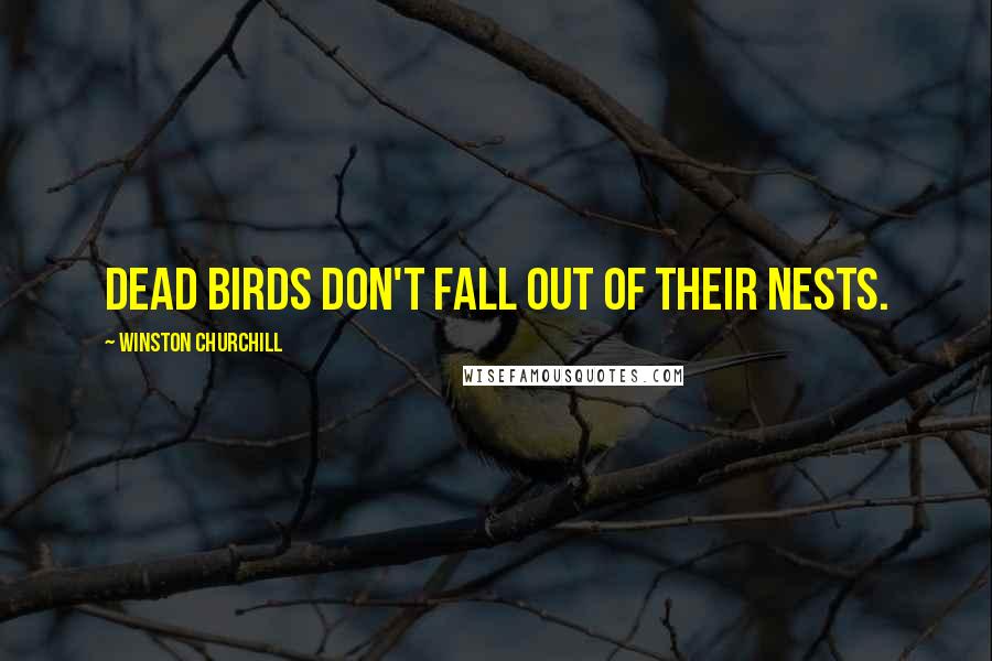 Winston Churchill Quotes: Dead birds don't fall out of their nests.