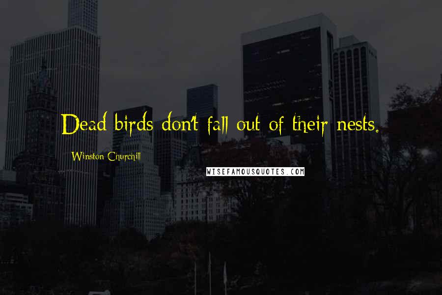 Winston Churchill Quotes: Dead birds don't fall out of their nests.