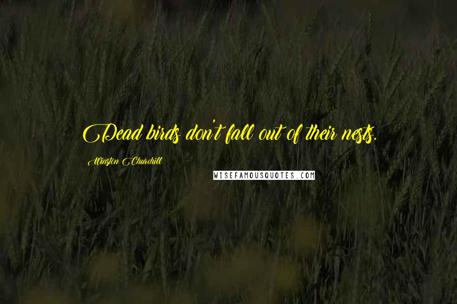 Winston Churchill Quotes: Dead birds don't fall out of their nests.