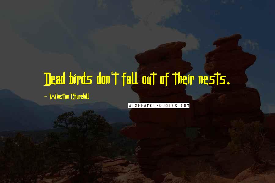 Winston Churchill Quotes: Dead birds don't fall out of their nests.