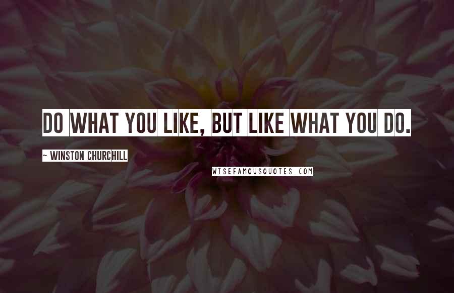 Winston Churchill Quotes: Do what you like, but like what you do.