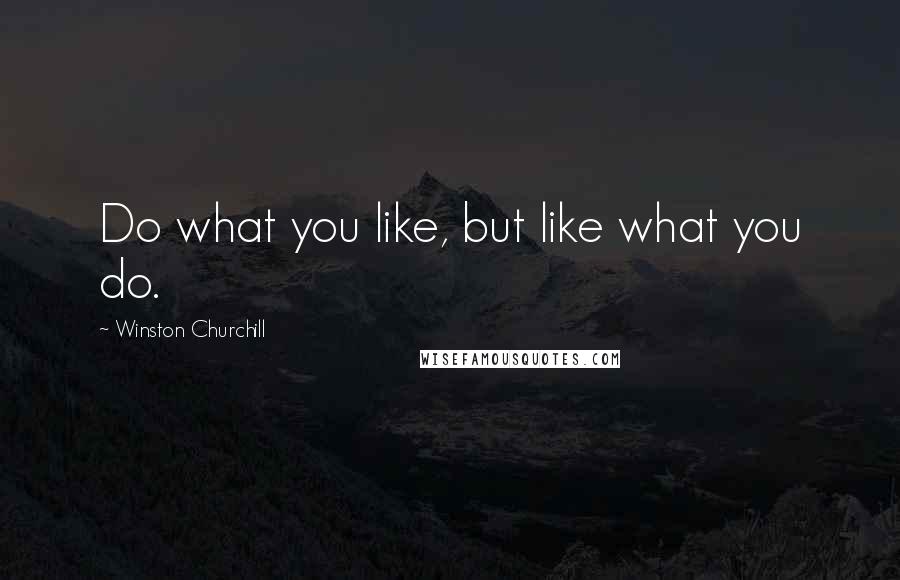 Winston Churchill Quotes: Do what you like, but like what you do.