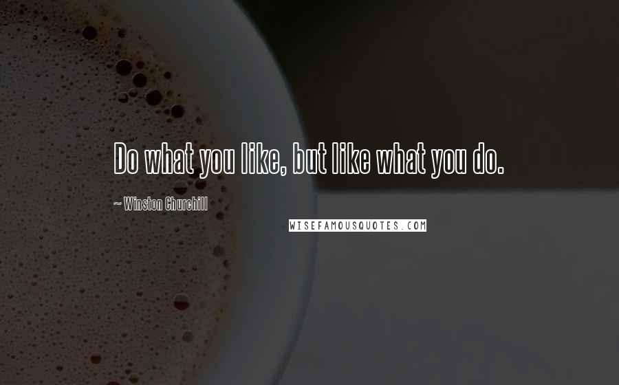 Winston Churchill Quotes: Do what you like, but like what you do.