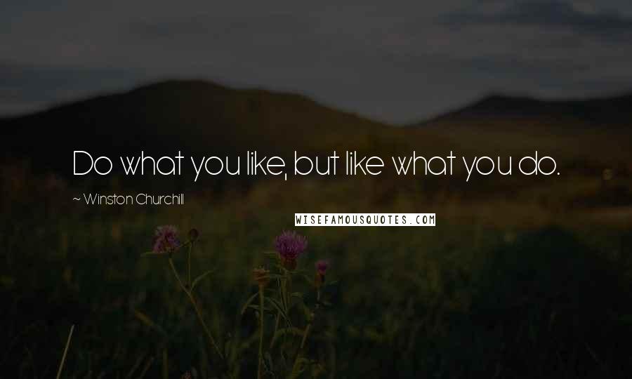 Winston Churchill Quotes: Do what you like, but like what you do.