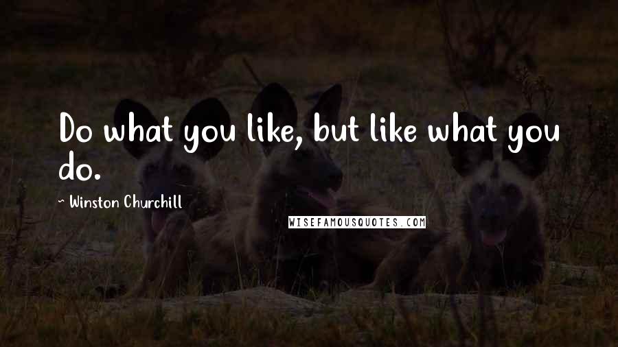 Winston Churchill Quotes: Do what you like, but like what you do.