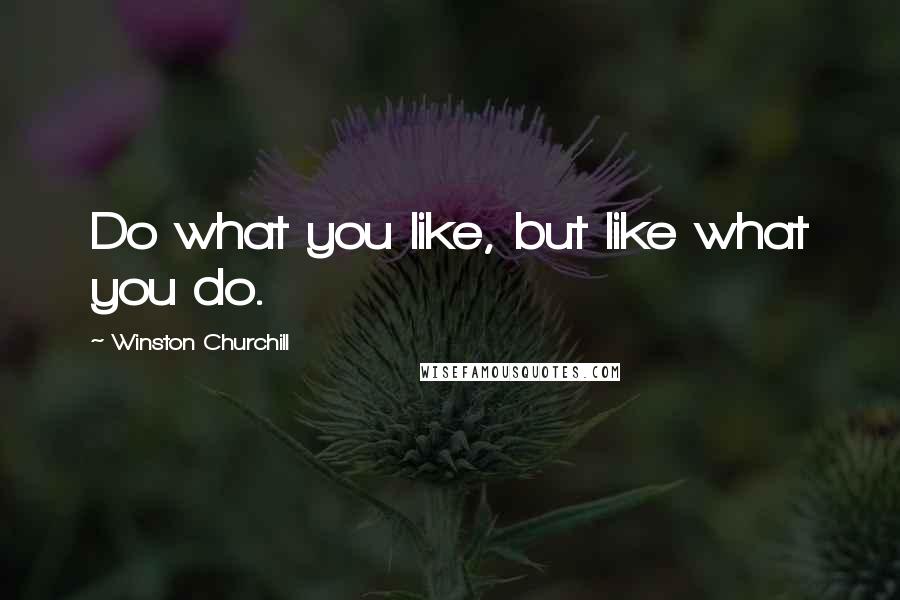 Winston Churchill Quotes: Do what you like, but like what you do.