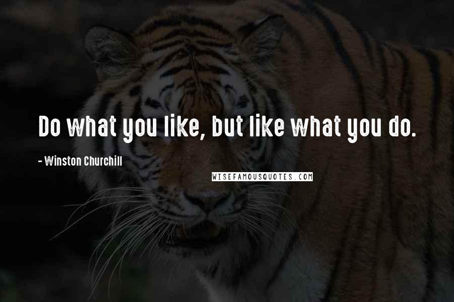 Winston Churchill Quotes: Do what you like, but like what you do.
