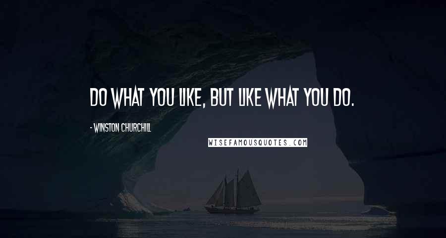Winston Churchill Quotes: Do what you like, but like what you do.