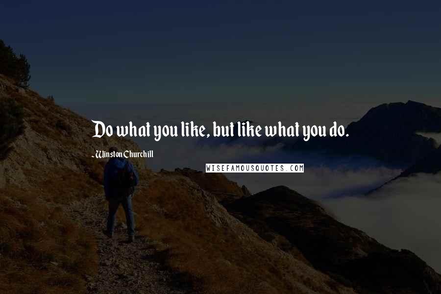 Winston Churchill Quotes: Do what you like, but like what you do.