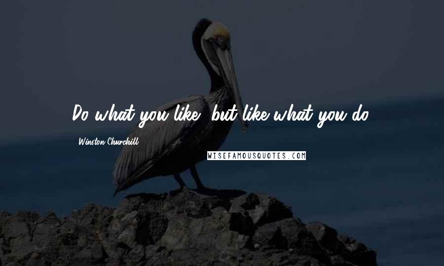 Winston Churchill Quotes: Do what you like, but like what you do.