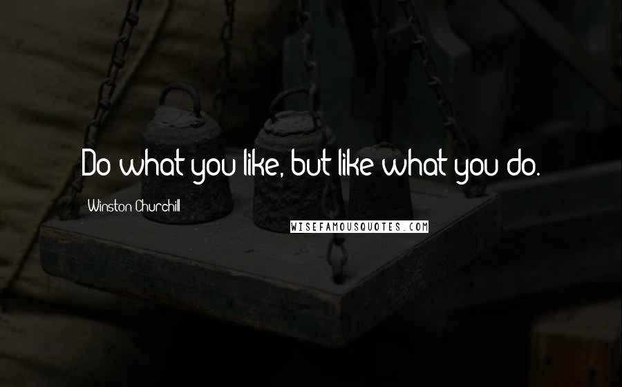 Winston Churchill Quotes: Do what you like, but like what you do.