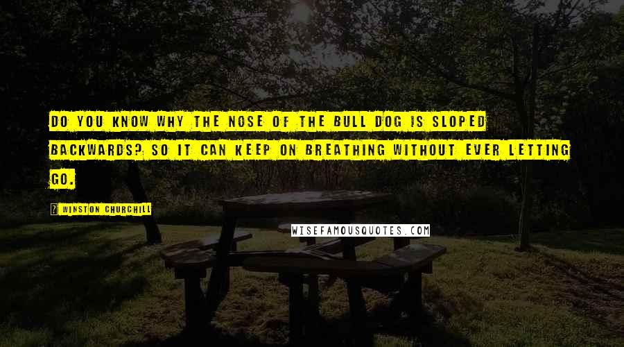 Winston Churchill Quotes: Do you know why the nose of the bull dog is sloped backwards? So it can keep on breathing without ever letting go.