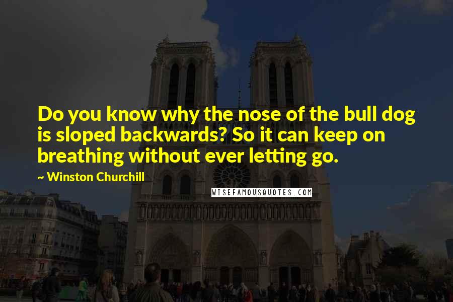 Winston Churchill Quotes: Do you know why the nose of the bull dog is sloped backwards? So it can keep on breathing without ever letting go.