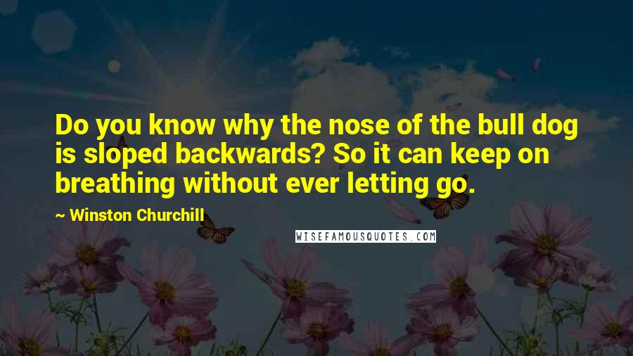 Winston Churchill Quotes: Do you know why the nose of the bull dog is sloped backwards? So it can keep on breathing without ever letting go.