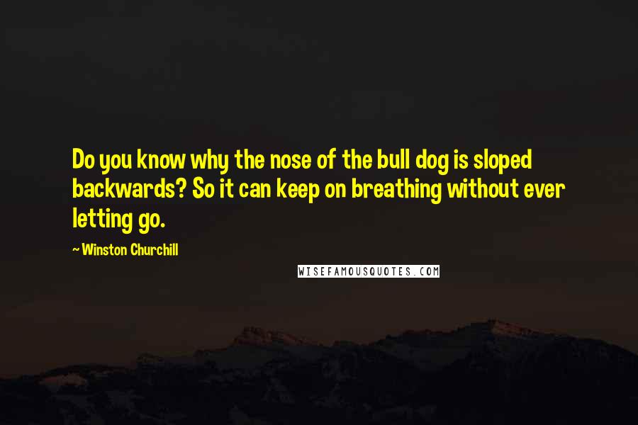 Winston Churchill Quotes: Do you know why the nose of the bull dog is sloped backwards? So it can keep on breathing without ever letting go.