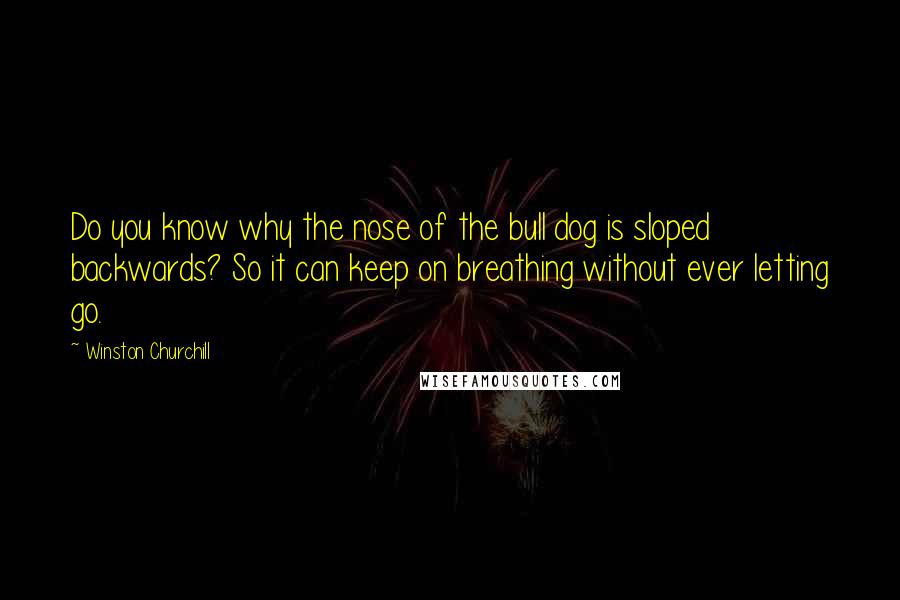 Winston Churchill Quotes: Do you know why the nose of the bull dog is sloped backwards? So it can keep on breathing without ever letting go.