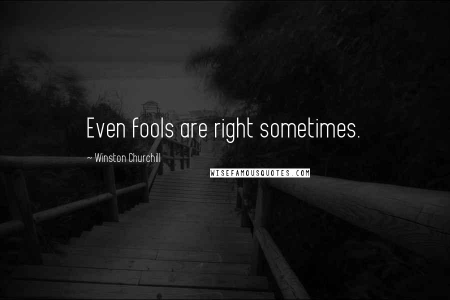 Winston Churchill Quotes: Even fools are right sometimes.