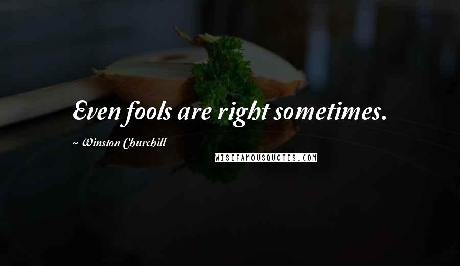 Winston Churchill Quotes: Even fools are right sometimes.