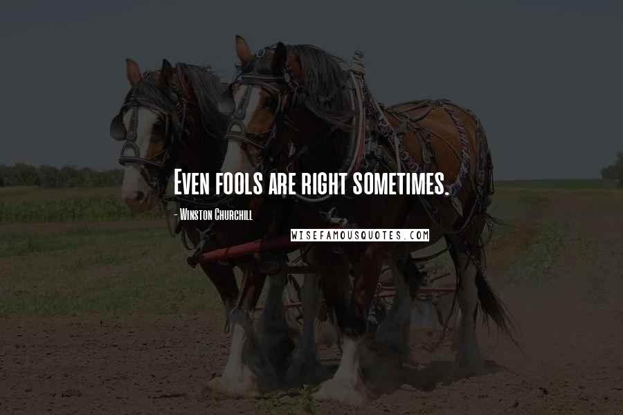 Winston Churchill Quotes: Even fools are right sometimes.