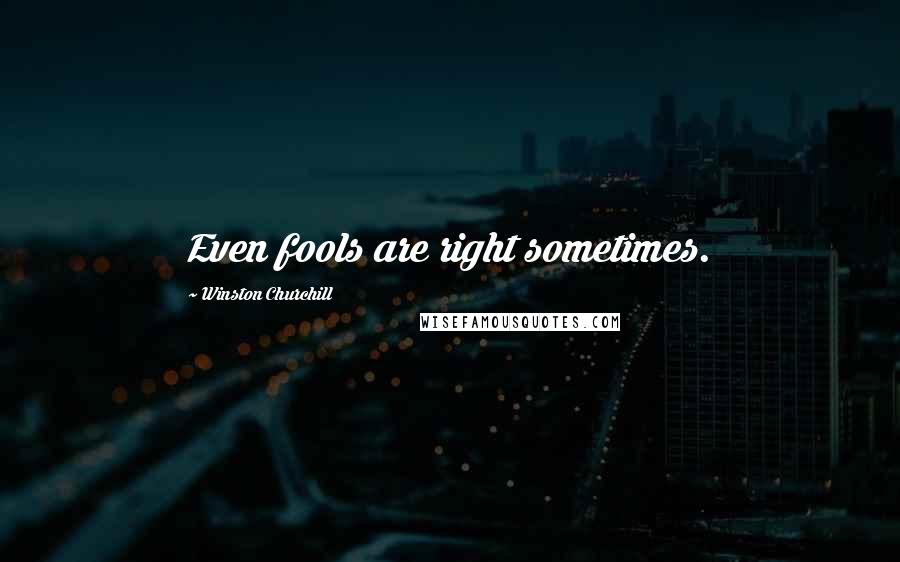 Winston Churchill Quotes: Even fools are right sometimes.