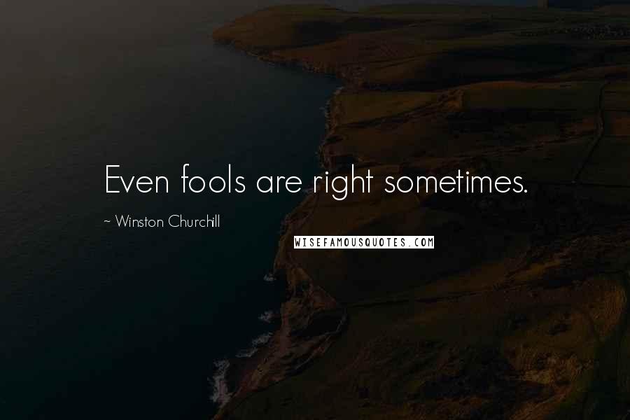 Winston Churchill Quotes: Even fools are right sometimes.