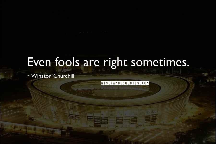 Winston Churchill Quotes: Even fools are right sometimes.
