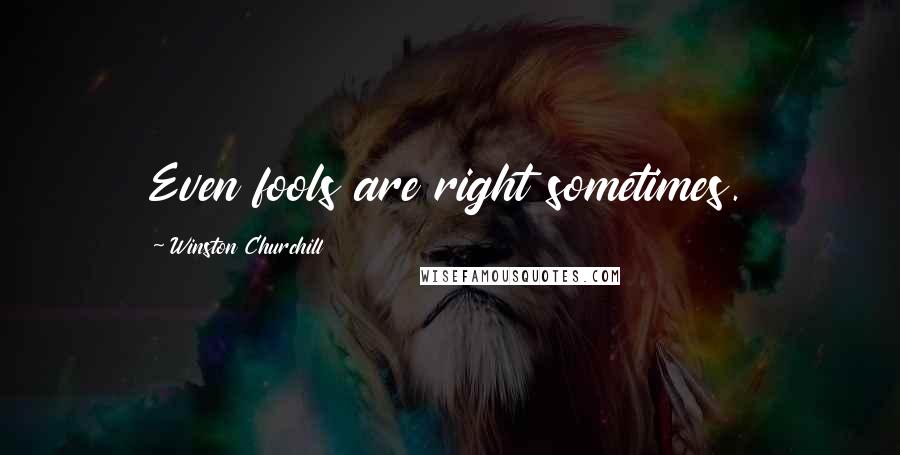 Winston Churchill Quotes: Even fools are right sometimes.