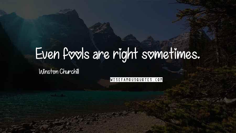 Winston Churchill Quotes: Even fools are right sometimes.