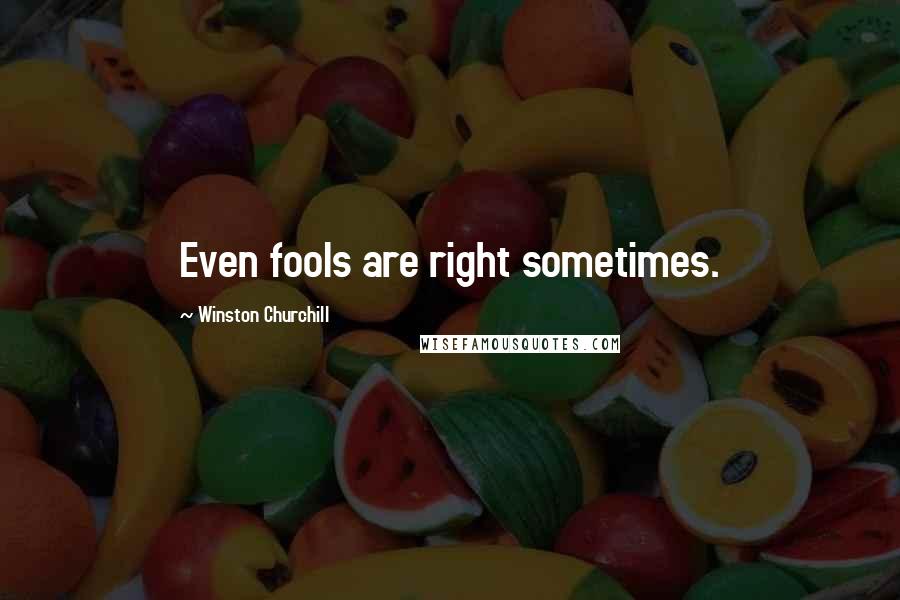 Winston Churchill Quotes: Even fools are right sometimes.