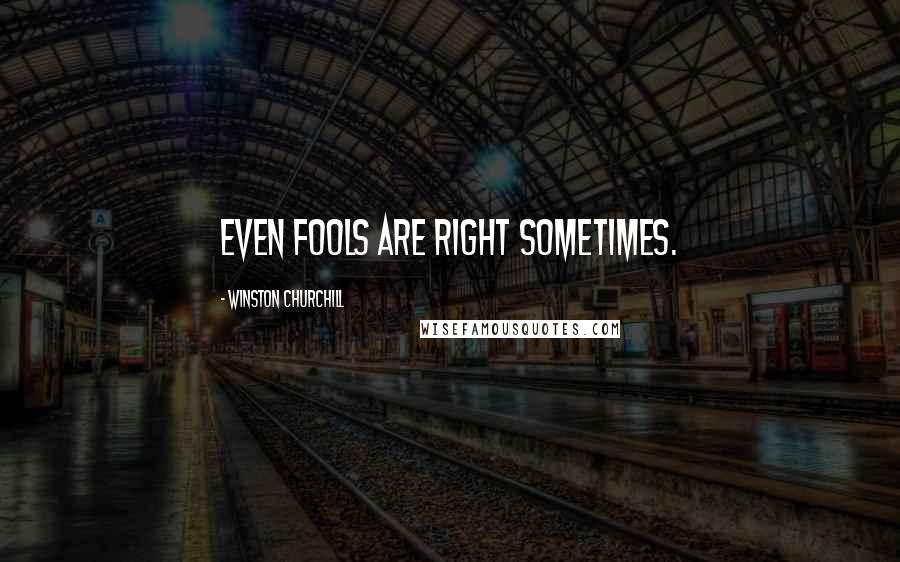 Winston Churchill Quotes: Even fools are right sometimes.