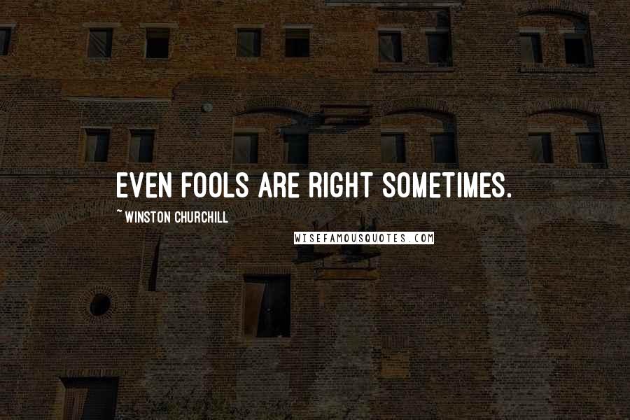 Winston Churchill Quotes: Even fools are right sometimes.