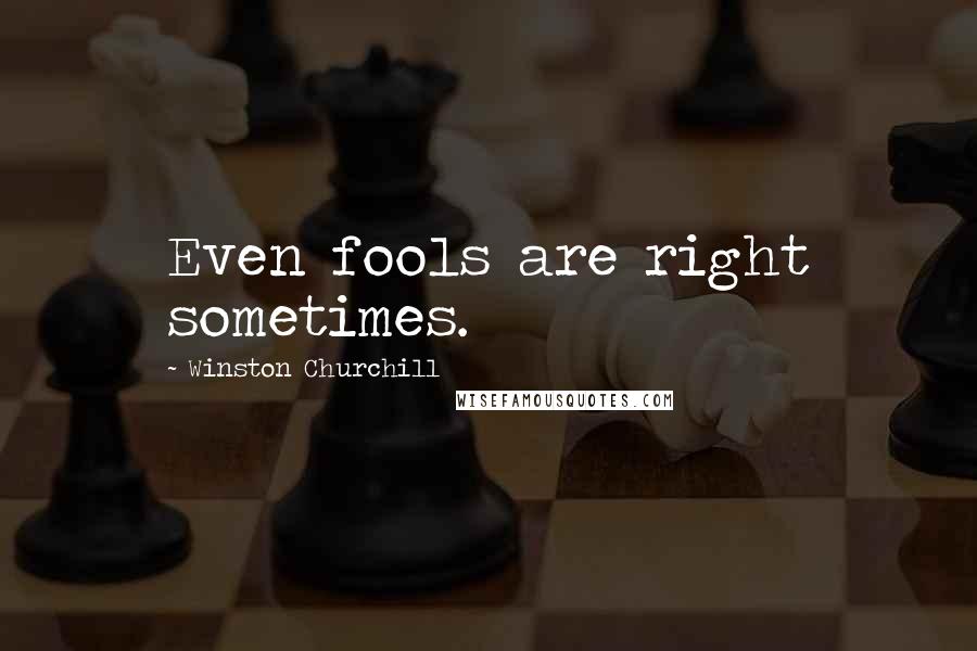 Winston Churchill Quotes: Even fools are right sometimes.