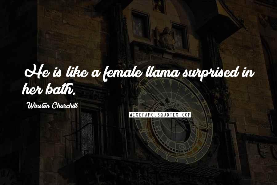 Winston Churchill Quotes: He is like a female llama surprised in her bath.
