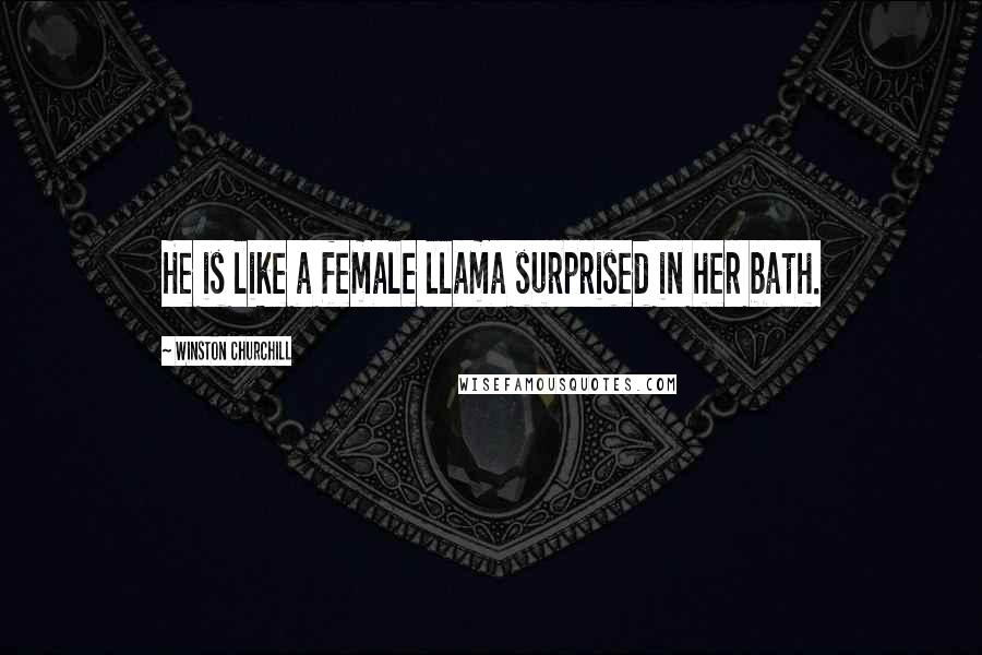 Winston Churchill Quotes: He is like a female llama surprised in her bath.