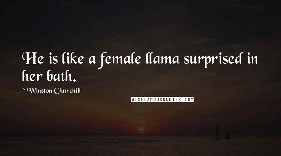 Winston Churchill Quotes: He is like a female llama surprised in her bath.