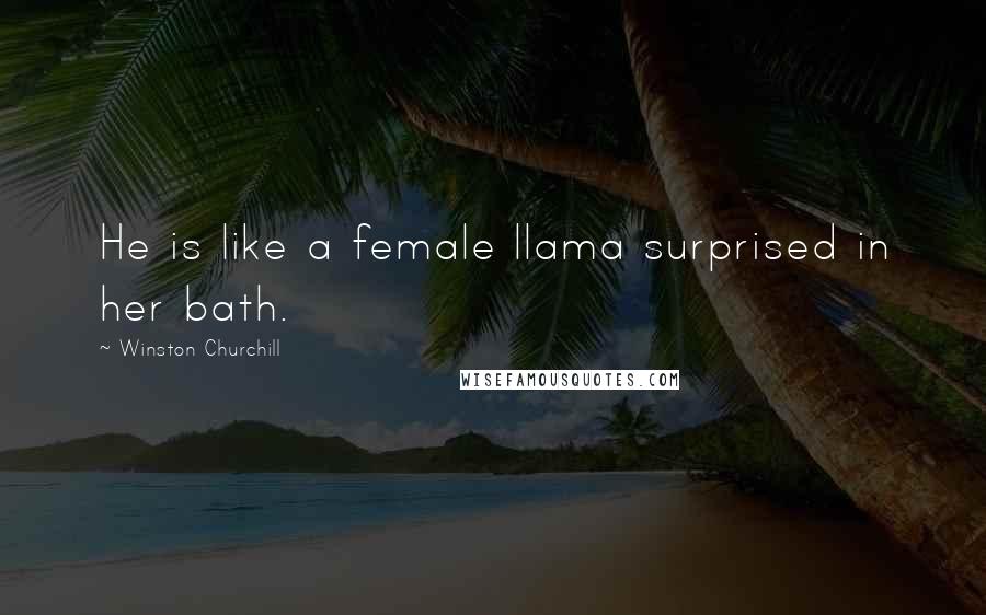 Winston Churchill Quotes: He is like a female llama surprised in her bath.